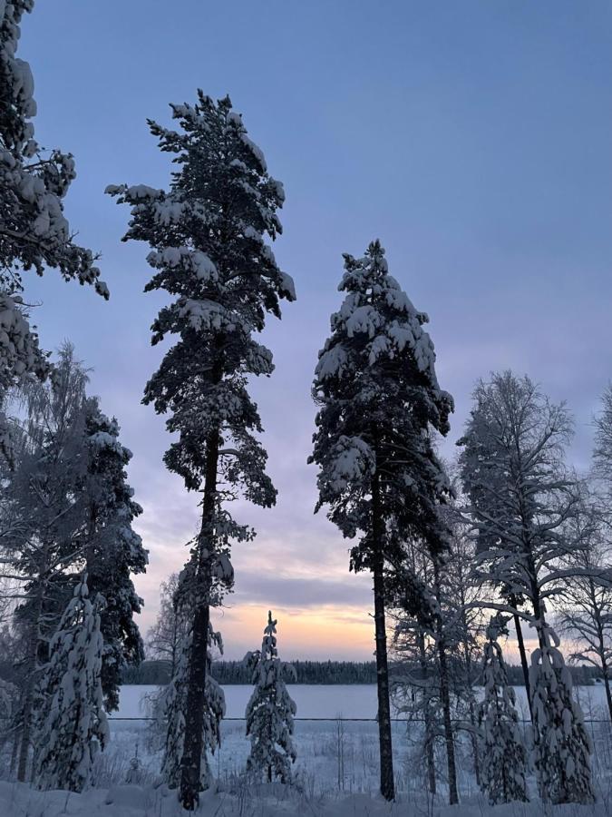 KoivuRieskapaikka别墅 外观 照片